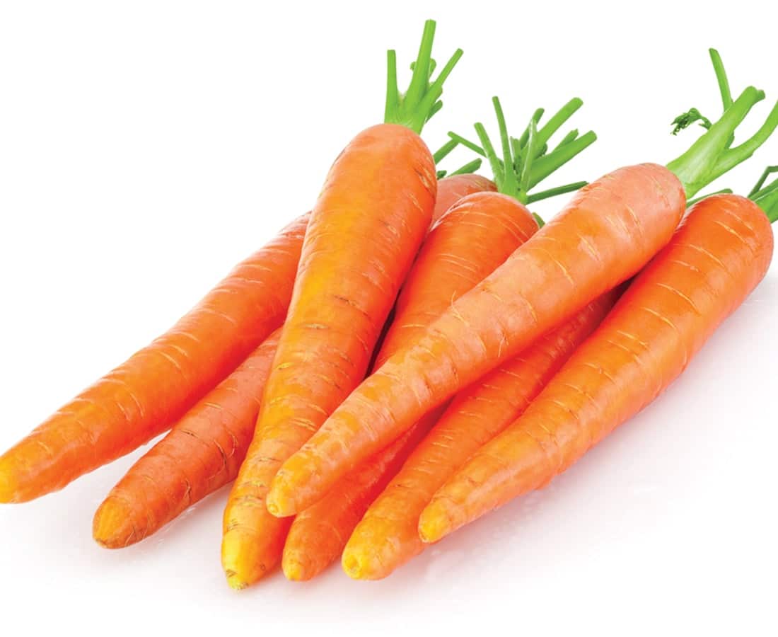 Carrots 1