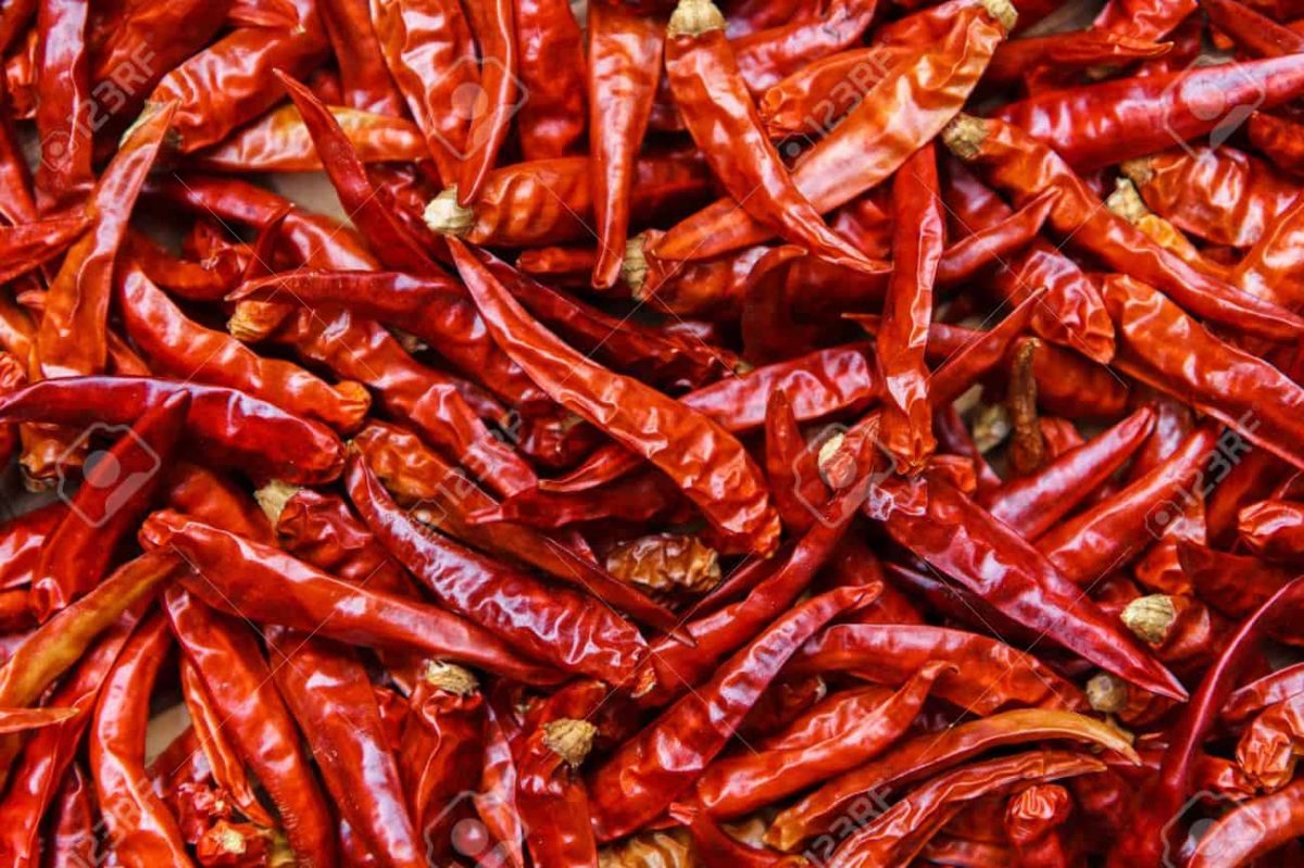 DRIED CHILLIES 1