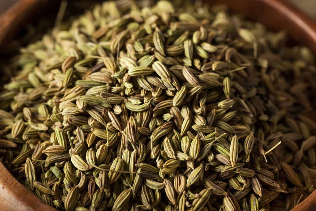 Fennel Seed 1